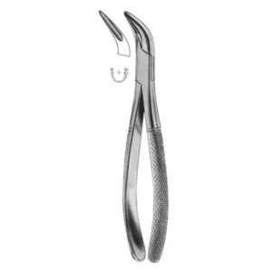 Root Splinter Forceps